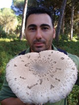 manuel nuñez guerra