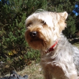 Avatar de FRANCISCO JGP