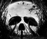 José María Montes de Oca R.