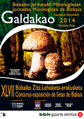 XLV Jornadas Micol&oacute;gicas de Bizkaia